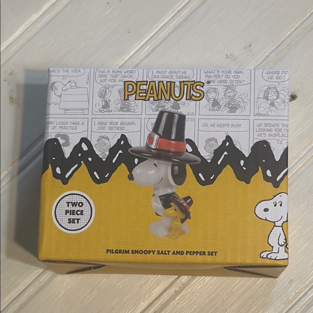 Peanuts : Thanksgiving theme/Pilgrim Snoopy Salt and Pepper Set
